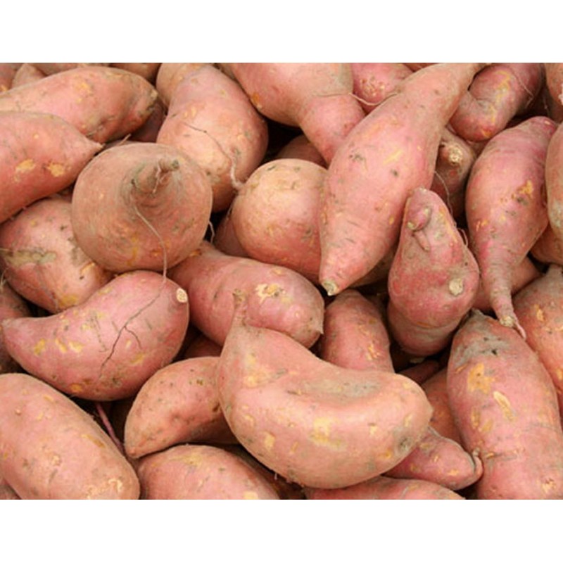 Sweet Potatoes (1KG)