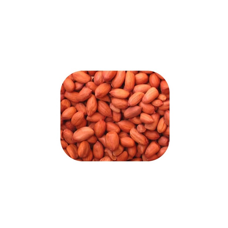 Ground Nuts /KG Ground Nuts /KG