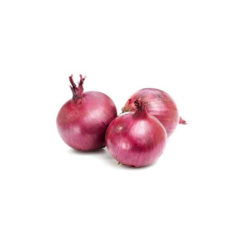 Onions /KG Onions /KG