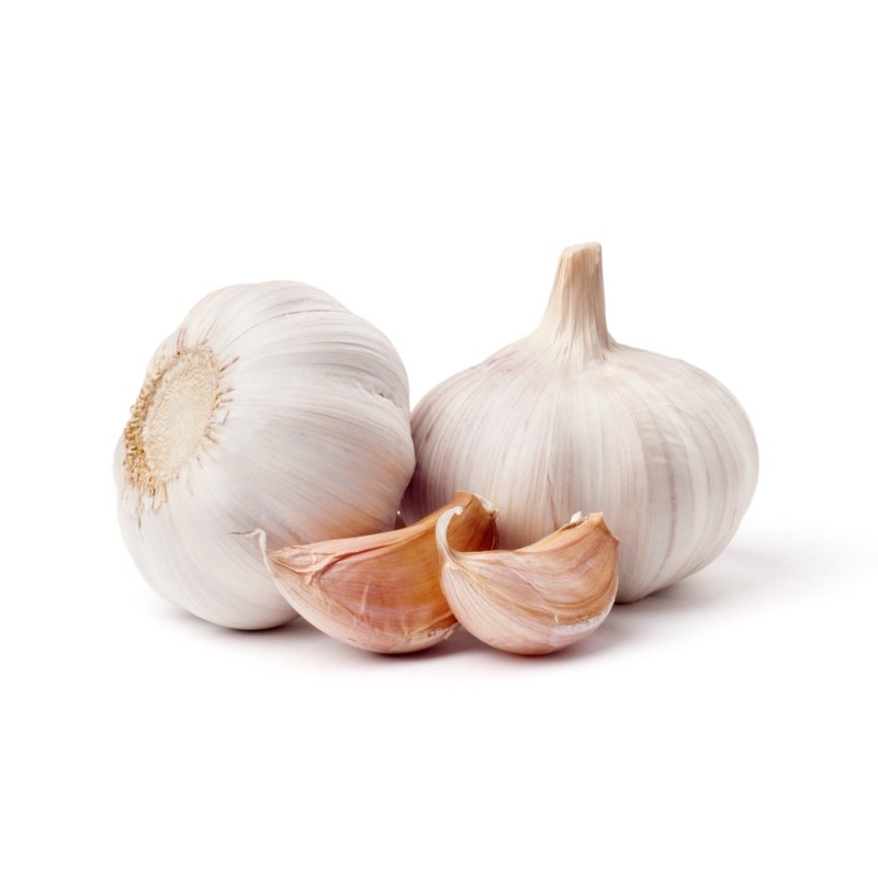 Garlic Garlic