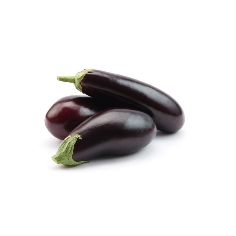 Egg Plant /KG