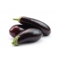 Eggplant /KG