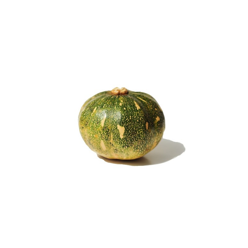 Pumpkin (Nsujjuu) Pumpkin (Nsujjuu)