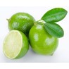 Buy online Limes Loose delivery in Uganda