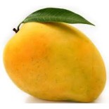 Perfectly  Faco Ripe Mango