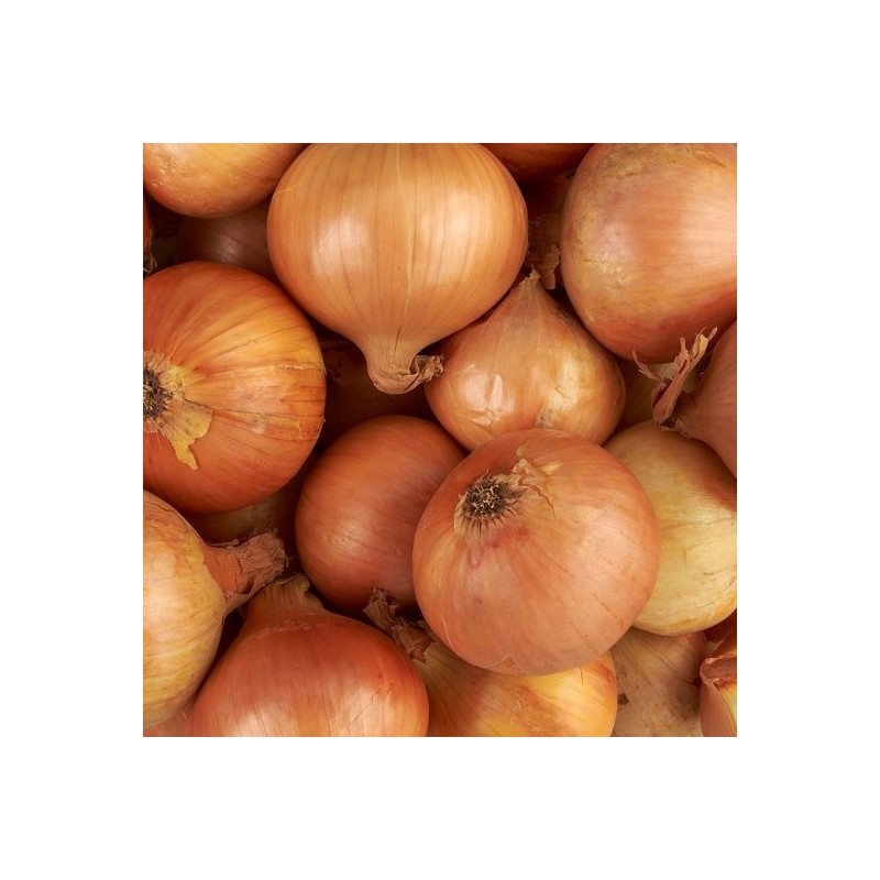 Loose Brown Onions 1KG