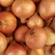 Loose Brown Onions 1KG