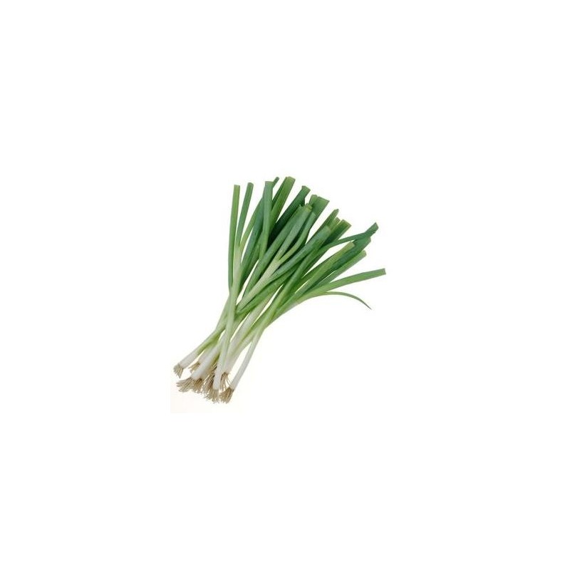 Fresh Bunched Spring Onions 100g Fresh Bunched Spring Onions 100g
