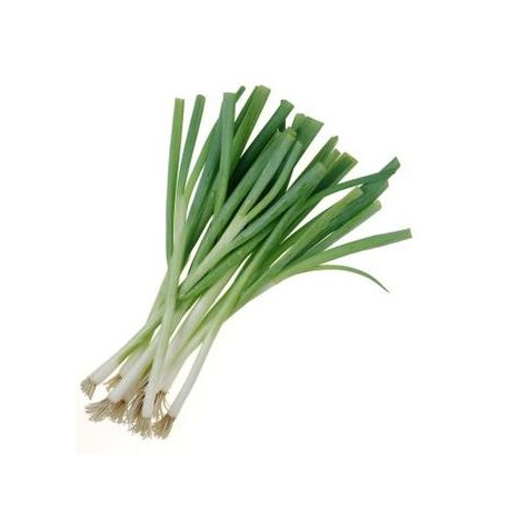 Fresh Bunched Spring Onions 100g
