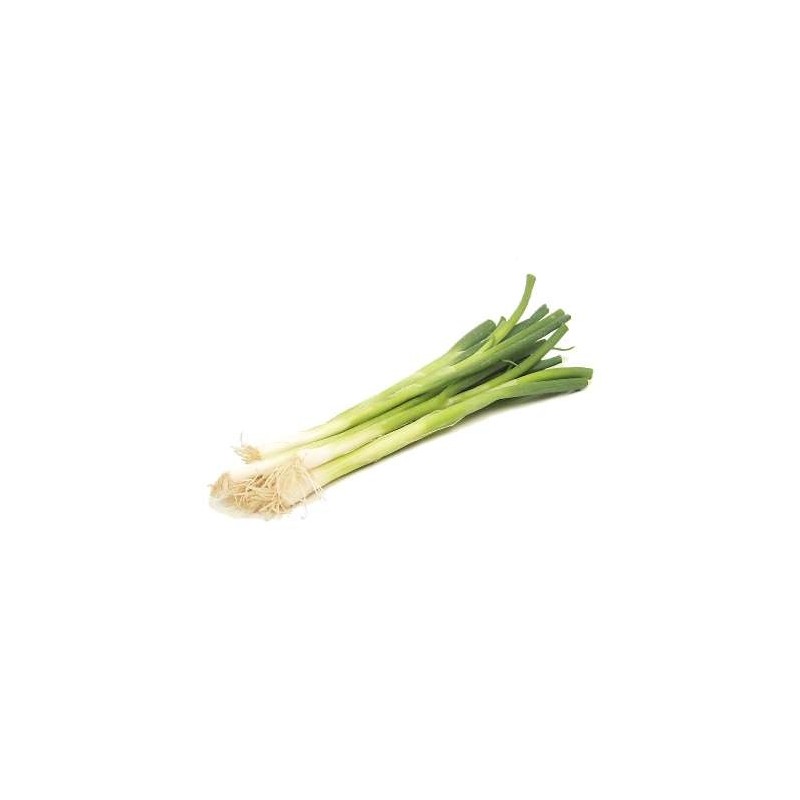 Fresh Bunched Spring Onions 100g
