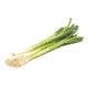 Fresh Bunched Spring Onions 100g