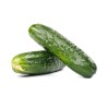 Fresh Cucumber