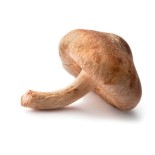 Shiitake Mashrooms (Butiko) delivery