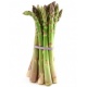 Fresh Asparagus - Bunch