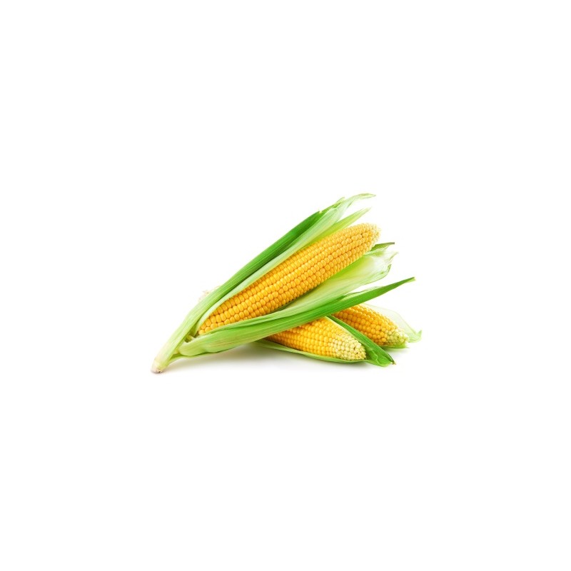 Fresh Corn maize (Kasooli) Large Each Fresh Corn maize (Kasooli) Large Each