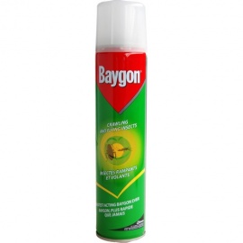 BAYGON INSECTICIDE (300ML)