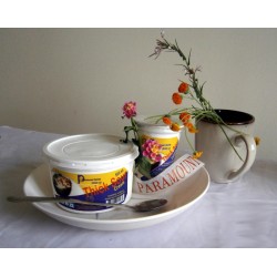 PARAMOUNT THICK SOUR CREAM                             