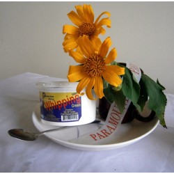 PARAMOUNT WHIPPING CREAM 0.5LT  