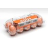 EGGS 1X10 PACK   