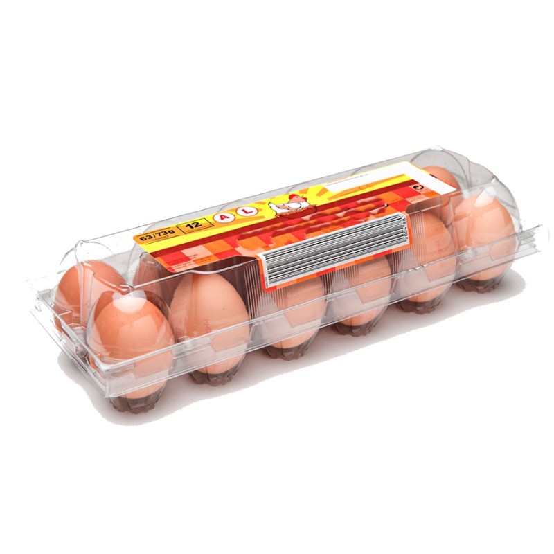 EGGS 1X12PACK   