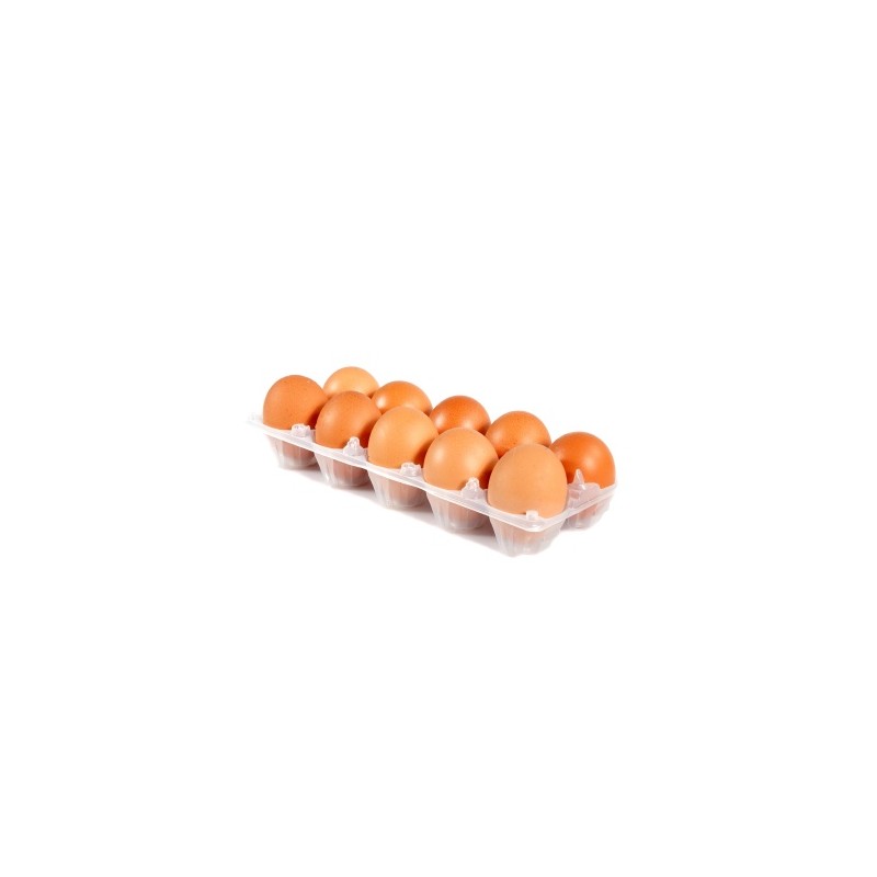 EGGS 1X10 PACK EGGS 1X10 PACK