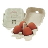 1x4 Eggs Pack