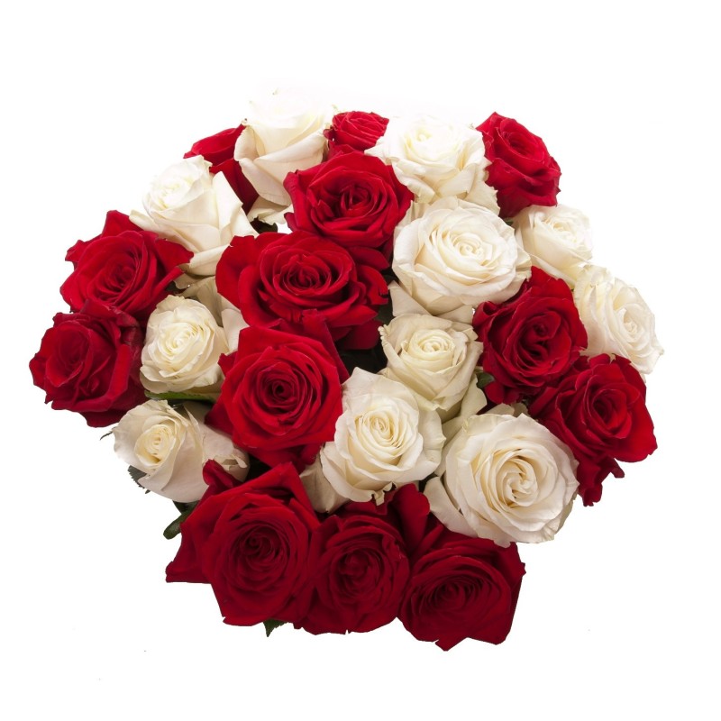 Red White Roses Bouquet flowers Red White Roses Bouquet flowers