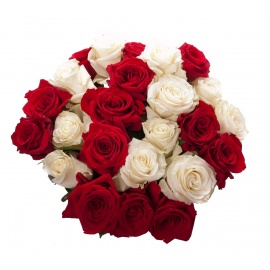 Red White Roses Bouquet flowers