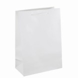 Gift Carry Bag Medium White