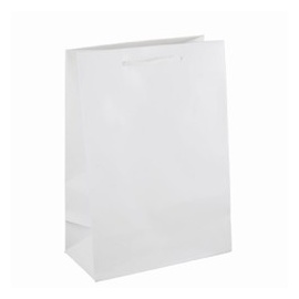 Gift Carry Bag Medium White