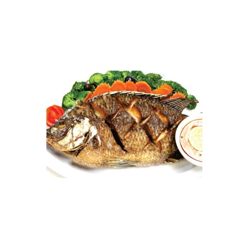Tilapia Tilapia