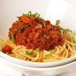 Bolognese 