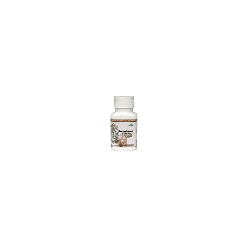 Ganoderma Plus Capsule 300mg x 60 caps