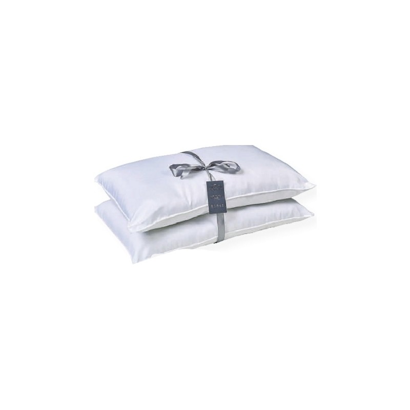 Two pack Hollow Fiber Pillows Two pack Hollow Fiber Pillows