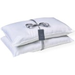 Two pack Hollow Fiber Pillows