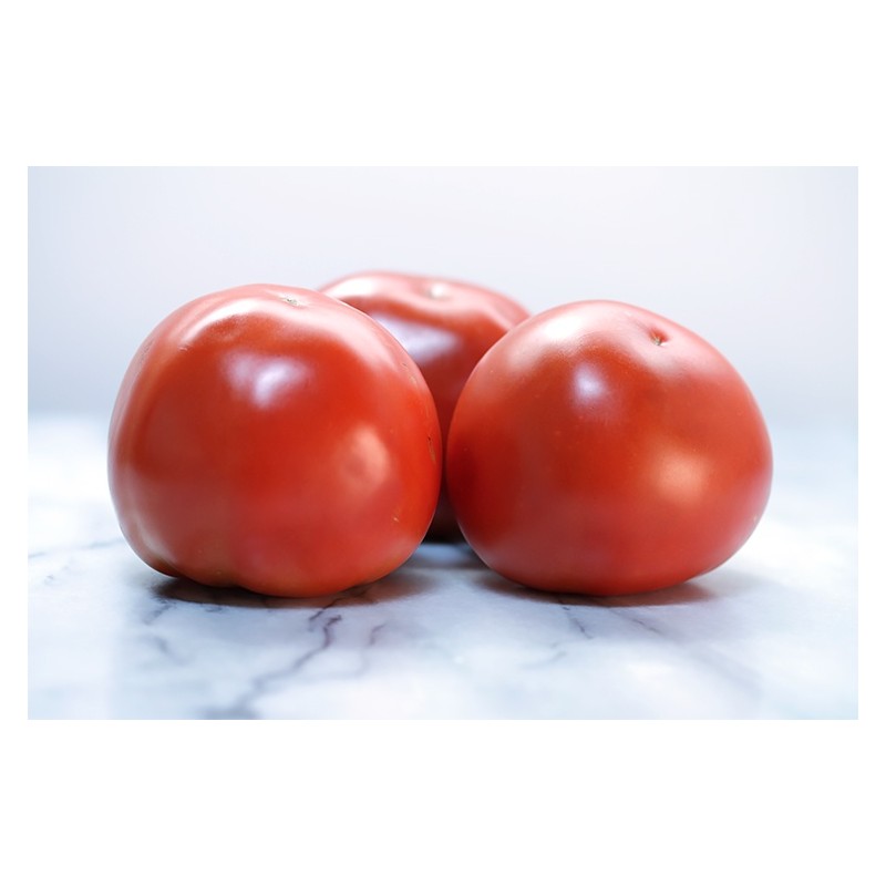 Fresh sized tomatoes Fresh sized tomatoes