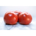 Fresh  sized tomatoes 500g