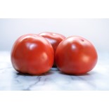 Fresh  sized tomatoes