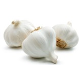 Fresh Garlic