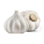 Fresh Garlic