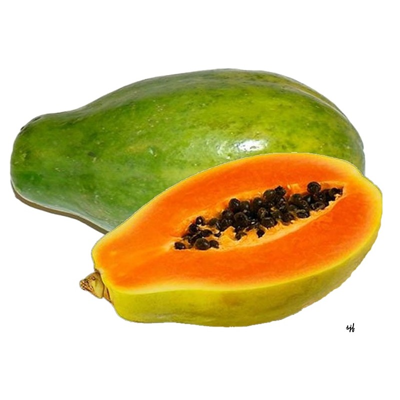Fresh pawpaw/ papaya Fresh pawpaw/ papaya