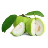 Fresh Guava