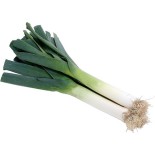 Leek