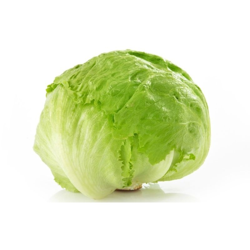 Fresh lettuce Fresh lettuce
