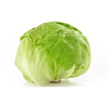  Fresh lettuce