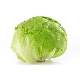  Fresh lettuce