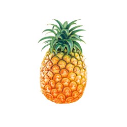Buy Online Tasty and Juicy Pineapples in  Kampala