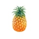 Tasty Pineapple
