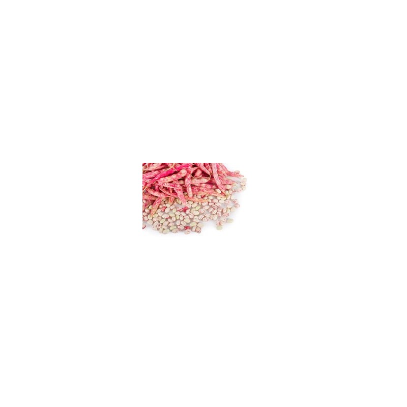 Fresh Beans 500g Fresh Beans 500g