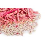 Fresh Beans 500g